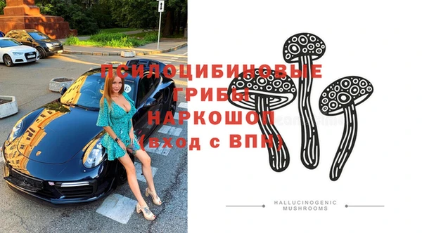 прущий лед Алзамай