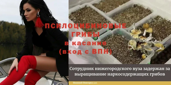 дурь Алексеевка
