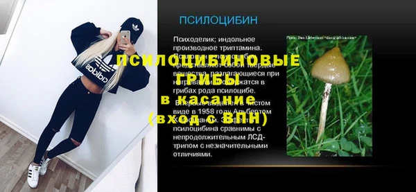 дурь Алексеевка
