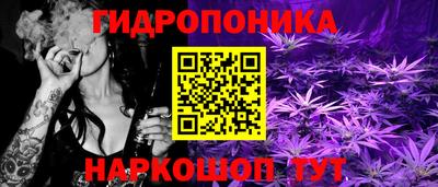 крисы Сланцы