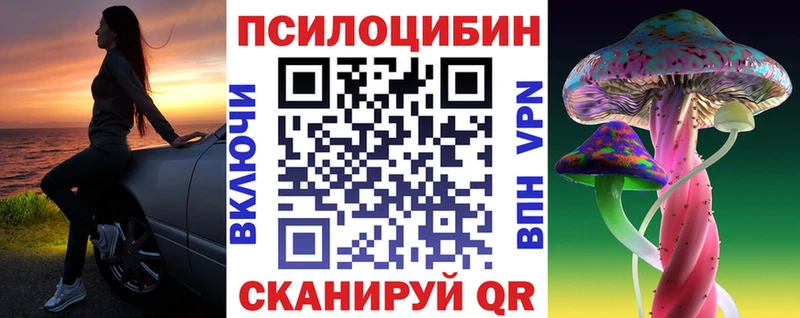 Псилоцибиновые грибы Cubensis  Светлоград 