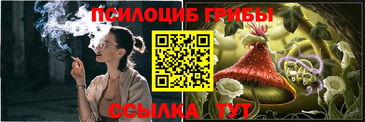 Галлюциногенные грибы мухоморы Светлоград