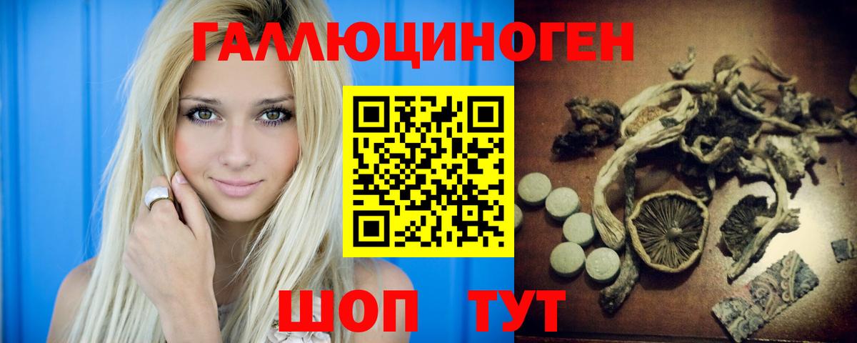 Галлюциногенные грибы GOLDEN TEACHER  купить наркотики сайты  Светлоград  Вход с VPN 